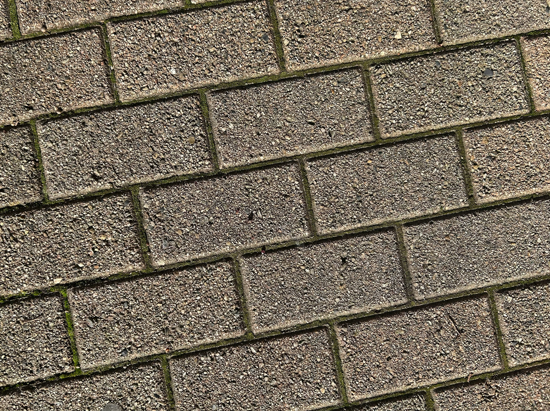 Betonplatten im Frühjahr nach dem Winter reinigen